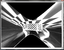 Undistort (Preview) option of the Fisheye lens camera calibration