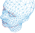 Face Analytics optimized for the AMD All Programmable 